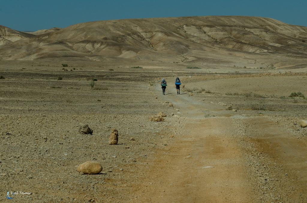 Desert Picture Arad Exterior foto